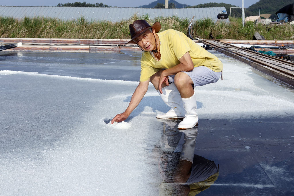 Coarse salt crystals forming on the surface of the drying pond